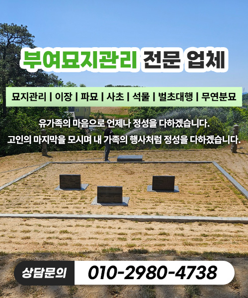 놀뫼장의사 모바일 비주얼 0